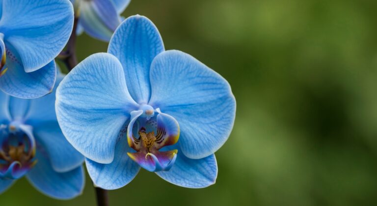 Best AI Story Writing Tools: For Fiction & Creative Writing